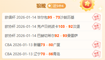 谢尔豪与芝,野虎丸第,局对决,世界杯下注,世界杯投注,下注技巧,投注技巧,2026世界杯